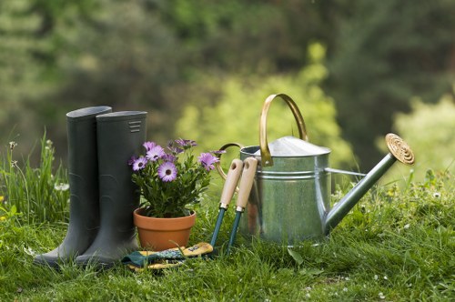 Gardener assessing a residential garden for maintenance work