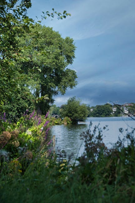 A waterside garden scene featuring lush green trees and shrubs along the edge of Southmere Lake, with some purple flowering plants in the foreground. The calm water reflects the surrounding foliage, a