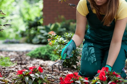 Lush Thamesmead garden showcasing vibrant plant life
