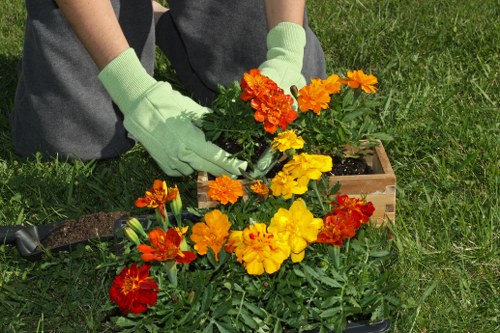 Seasonal flowers blooming in a Thamesmead garden